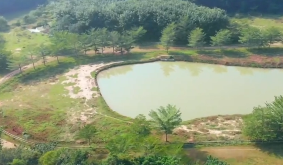 海南旅游那吉跑马场景点介绍1