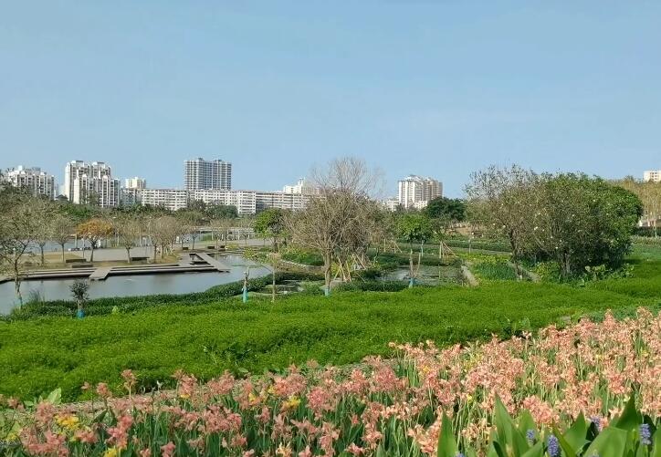 海口美舍河凤翔湿地公园景点介绍1