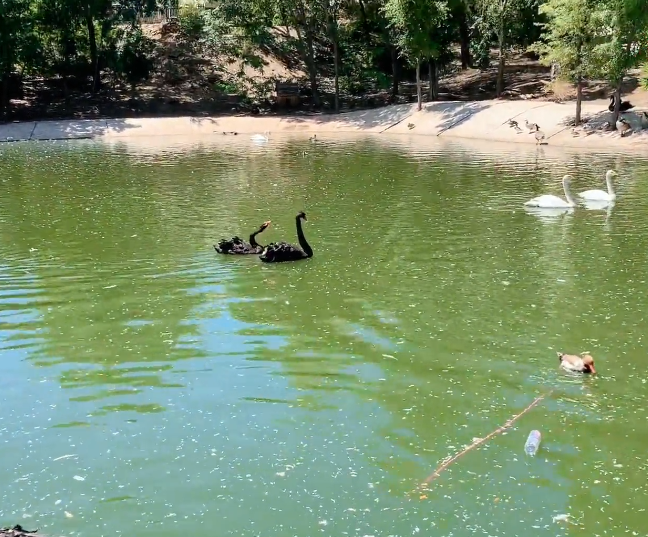 辽阳龙鼎山动物园游玩攻略2