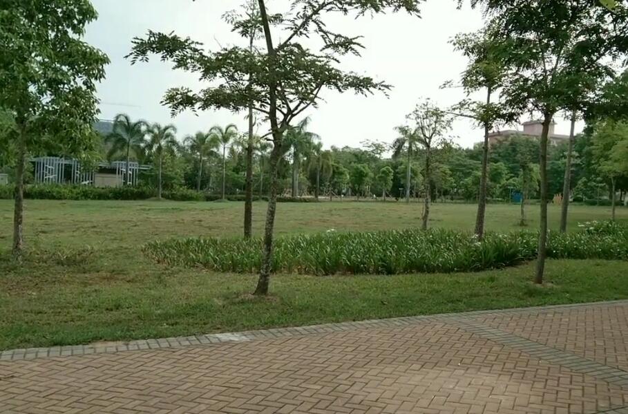 海南旅游南茶公园景点介绍1