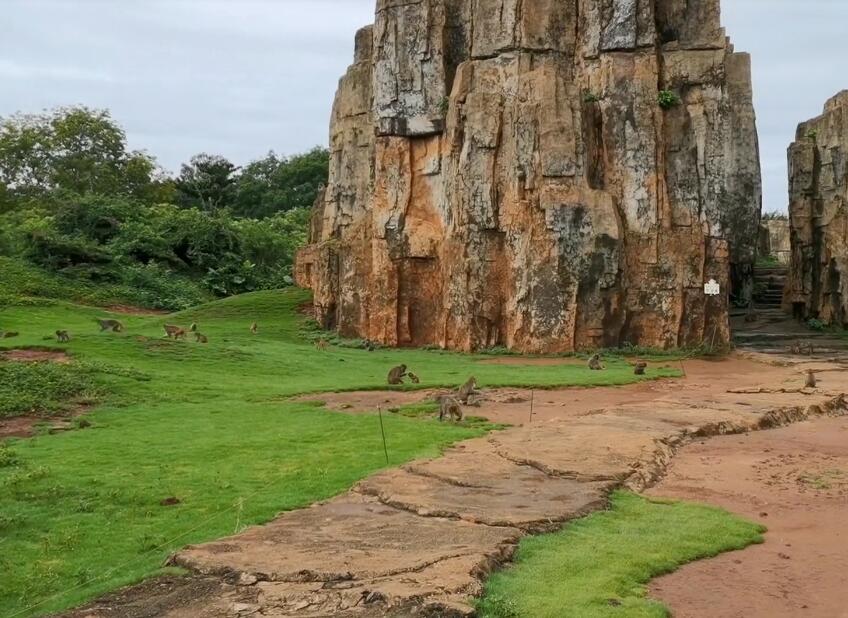 海口东山海南热带野生动植物园景点介绍1