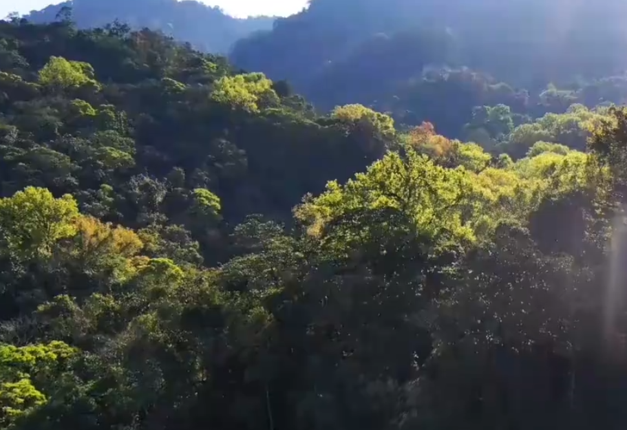 海南旅游百花岭景点介绍1