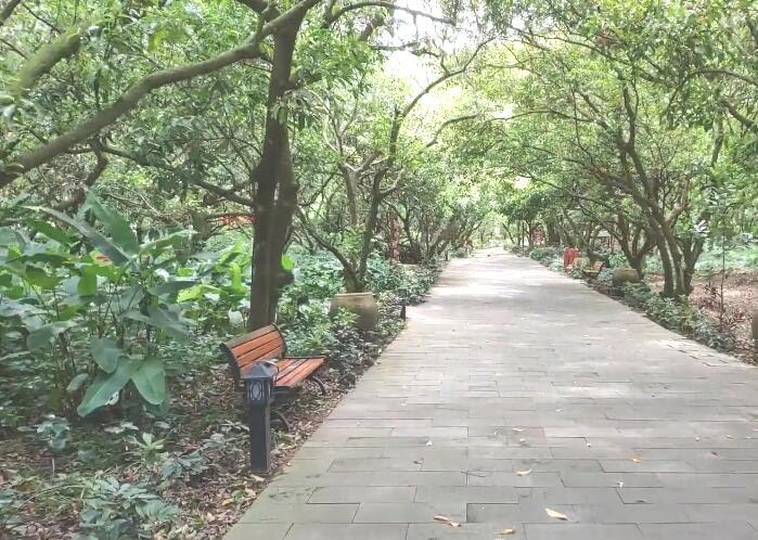 海口海口冯唐绿园景点介绍1