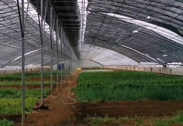 辽阳三禾现代农业庄园游玩攻略2