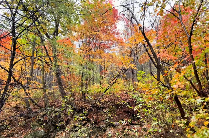 丹东老边沟风景区游玩攻略2