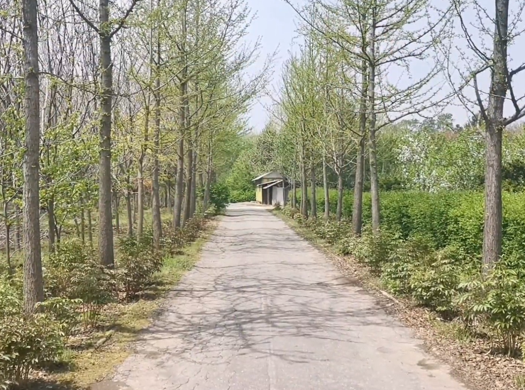 丹东金大路生态园露营地游玩攻略1