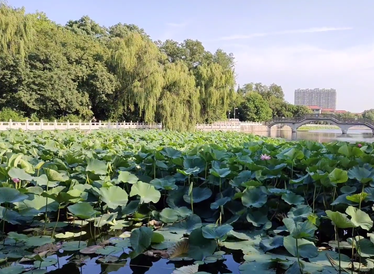 辽阳青年湖公园游玩攻略2