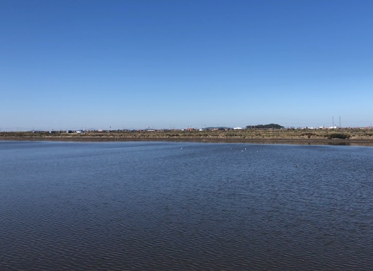 丹东鸭绿江口国家湿地观鸟园游玩攻略3