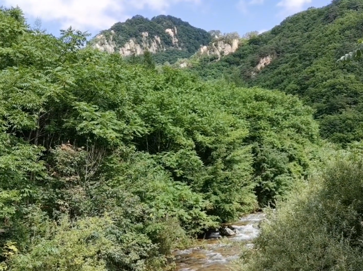 丹东天桥沟狩猎场游玩攻略1