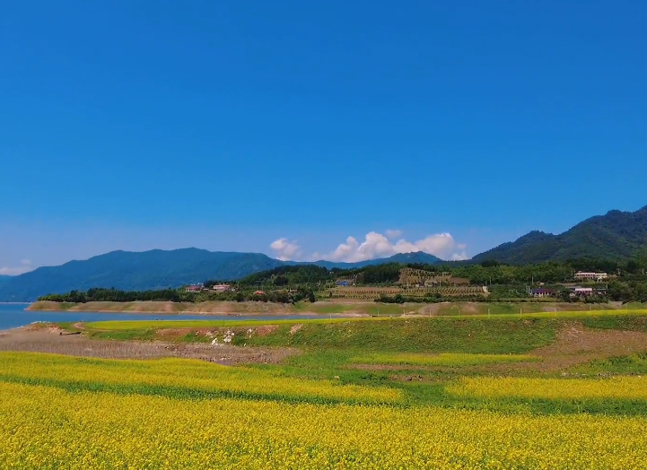 丹东绿江村风景区游玩攻略2