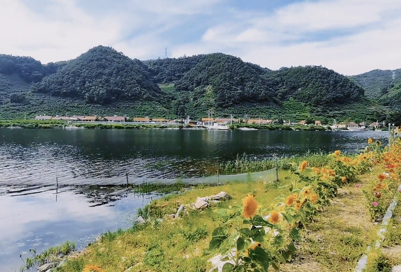 丹东长河岛风景区游玩攻略3