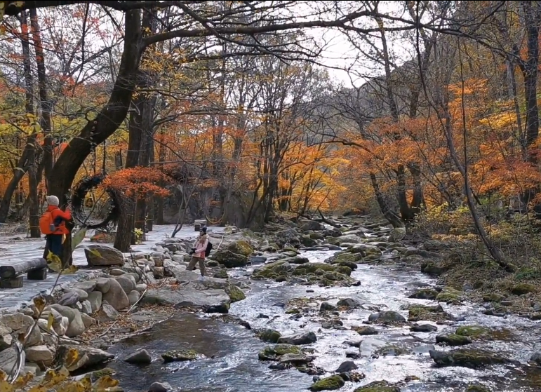 丹东天桥沟红枫谷游玩攻略1