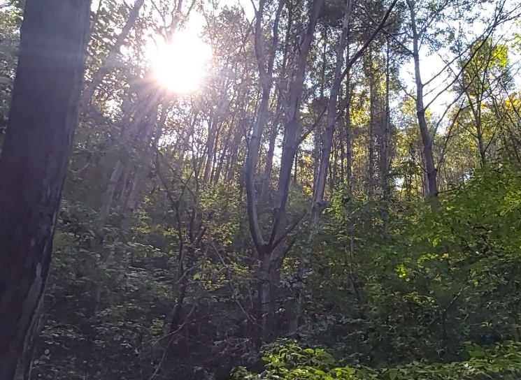 本溪玉京山生态园游玩攻略3