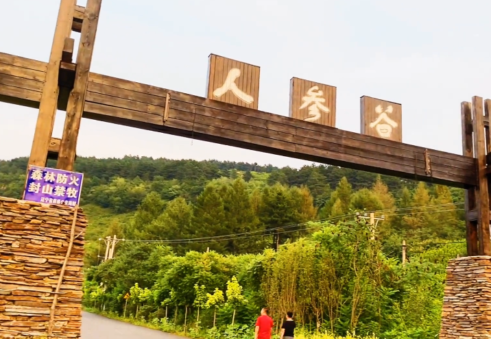 辽阳人参谷栈道游玩攻略1