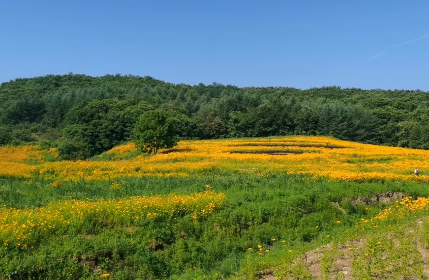 丹东大梨树生态旅游区游玩攻略2