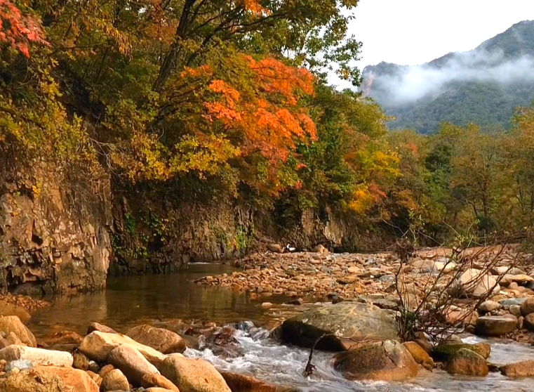 丹东蒲石河森林公园游玩攻略2