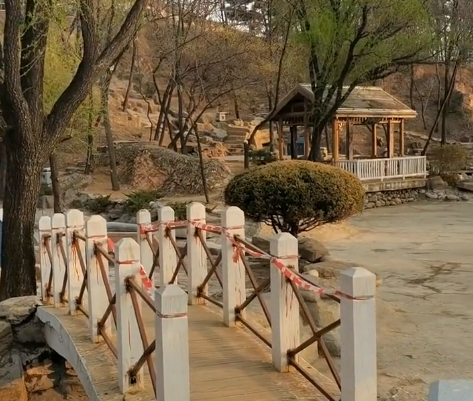 葫芦岛报晓园游玩攻略2