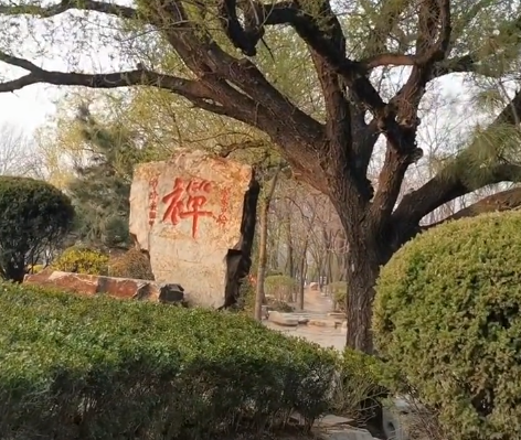 葫芦岛报晓园游玩攻略3