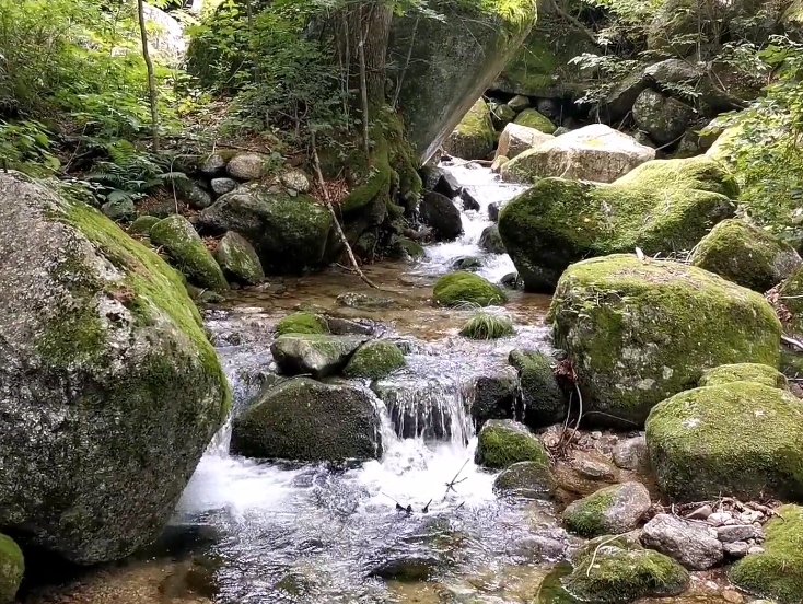 丹东花脖山百瀑峡游玩攻略2