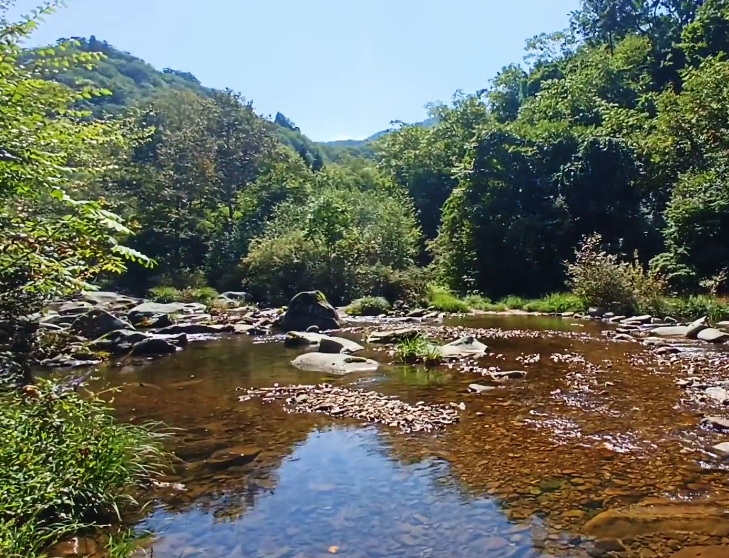 本溪大地森林公园游玩攻略1