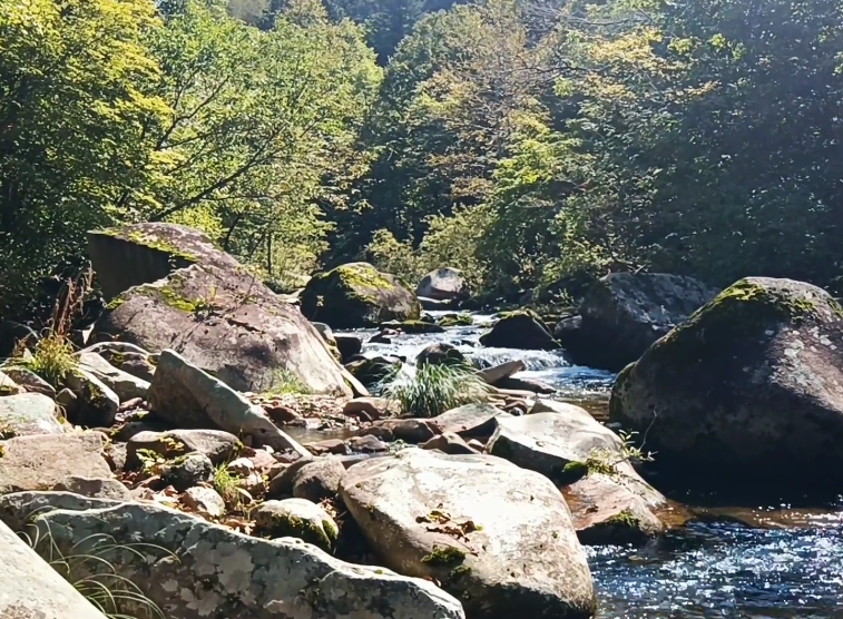 本溪大地森林公园游玩攻略2