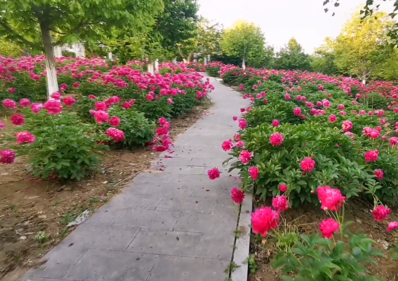 丹东馨艺度假山庄游玩攻略2