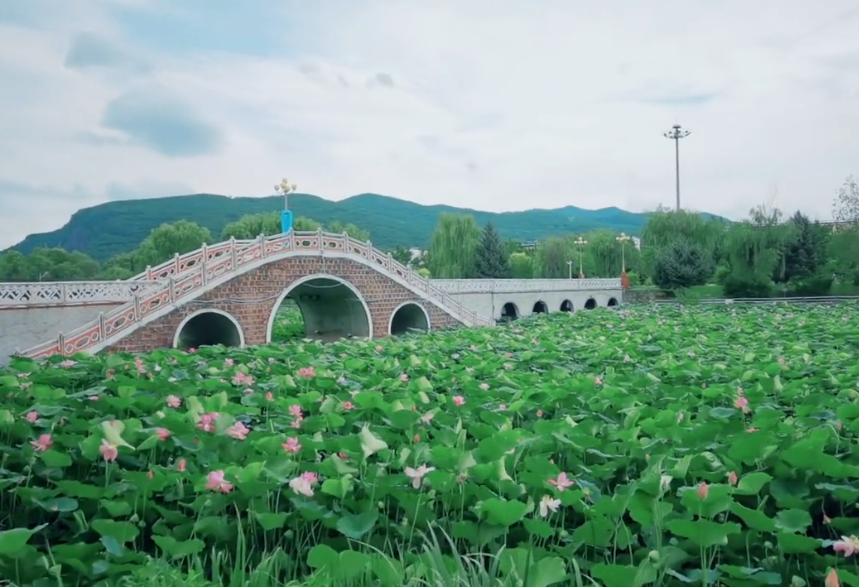 本溪荷韵公园游玩攻略1