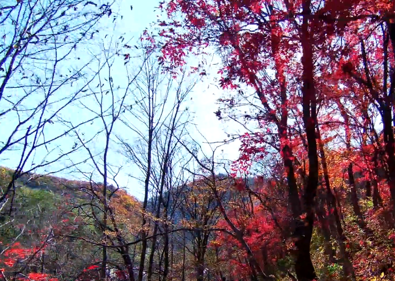 本溪关门山月台子风景区游玩攻略2