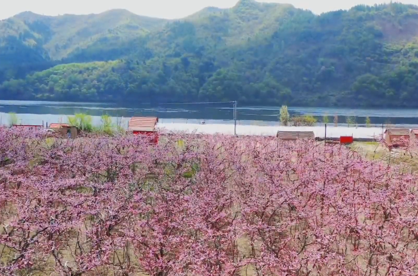 丹东河口桃花岛游玩攻略1