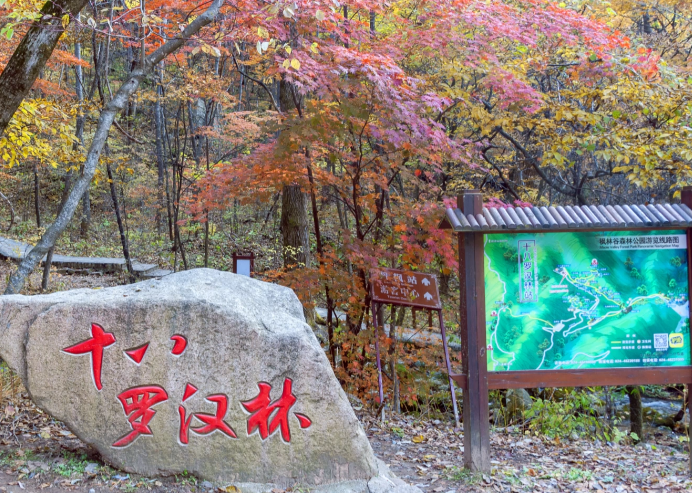 本溪枫林谷十八罗汉林游玩攻略1