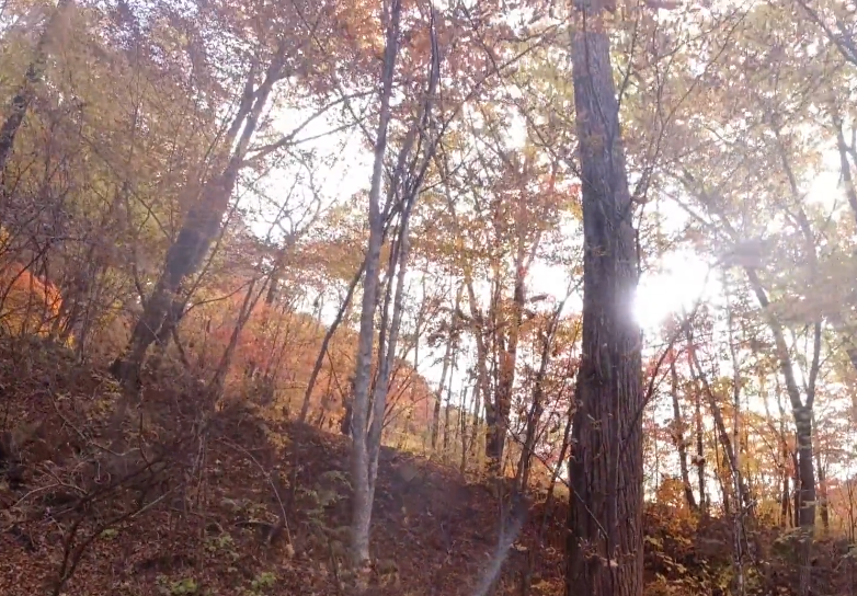 本溪枫林谷十八罗汉林游玩攻略2