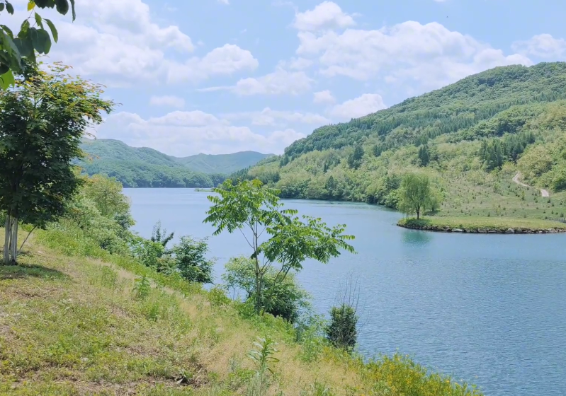 丹东天桥沟森林公园游玩攻略3