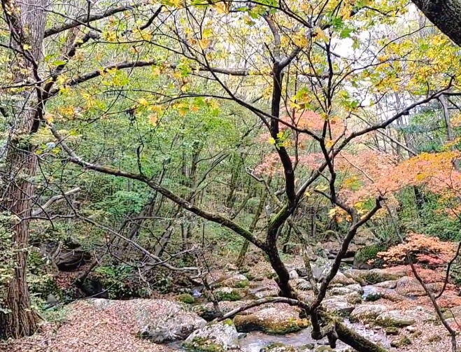 丹东天桥沟森林公园游玩攻略4