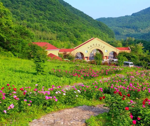 丹东天桥沟芍药园游玩攻略1