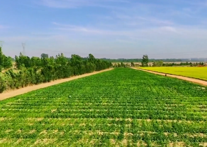 葫芦岛龙兴山庄游玩攻略1