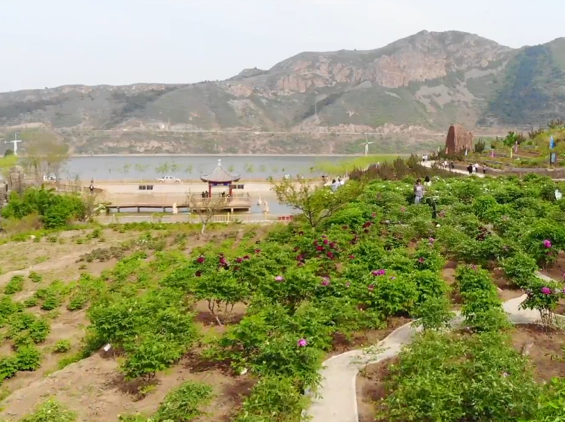 葫芦岛天香源生态农场游玩攻略1