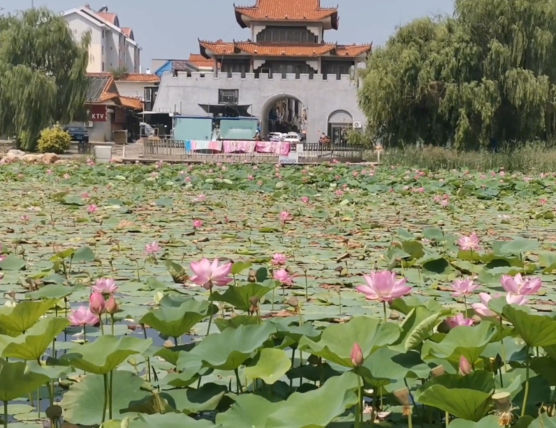 铁岭调兵山月亮湖游玩攻略1