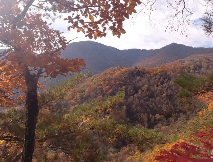 本溪枫林谷平步峰游玩攻略1