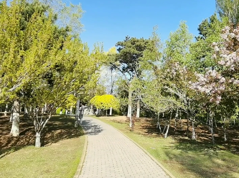 铁岭烟波园游玩攻略1