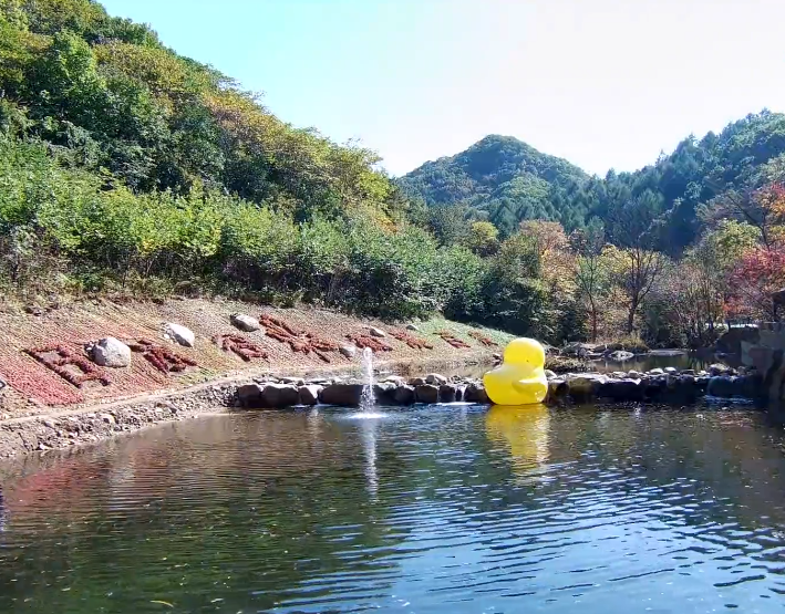 本溪大冰沟森林公园游玩攻略2