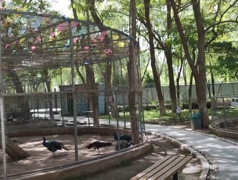 鞍山千山百鸟园游玩攻略1