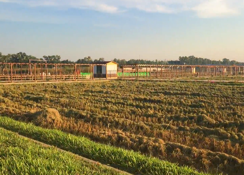 朝阳梦园现代农业庄园游玩攻略1