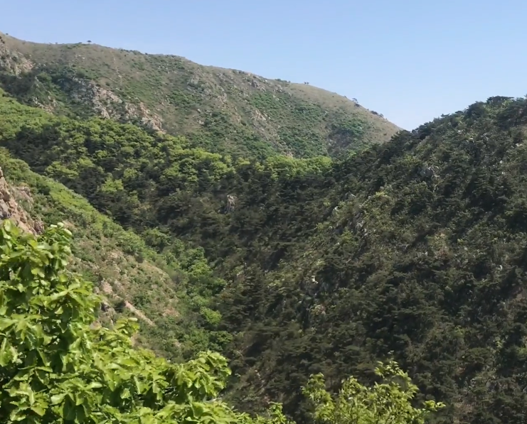 葫芦岛大黑山风景区游玩攻略2