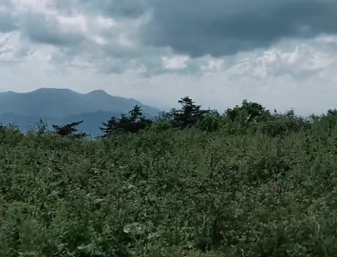 本溪老秃顶子自然保护区游玩攻略1