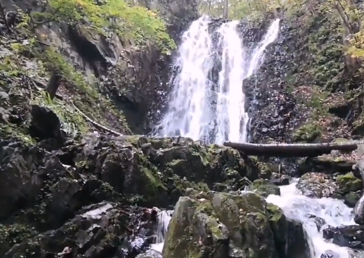 本溪老秃顶子自然保护区游玩攻略2