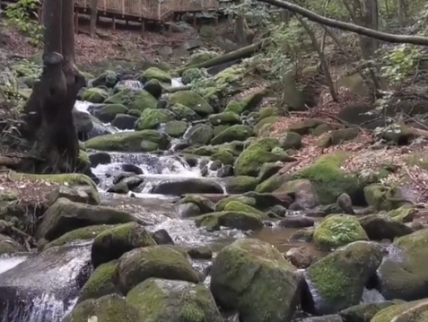 本溪老秃顶子自然保护区游玩攻略3