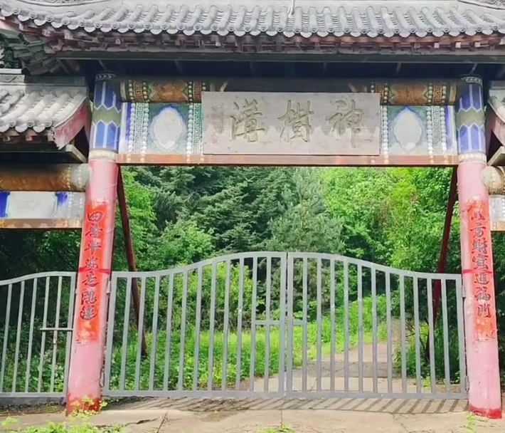 抚顺神树沟风景区游玩攻略1