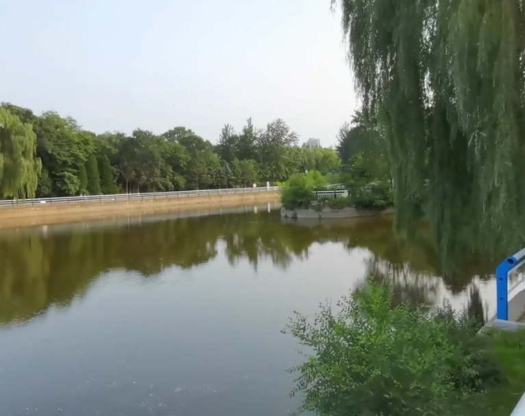 葫芦岛龙湾公园游玩攻略3