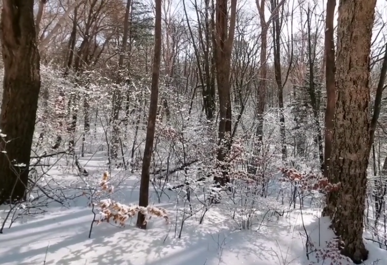 本溪冰壶沟风景区游玩攻略1