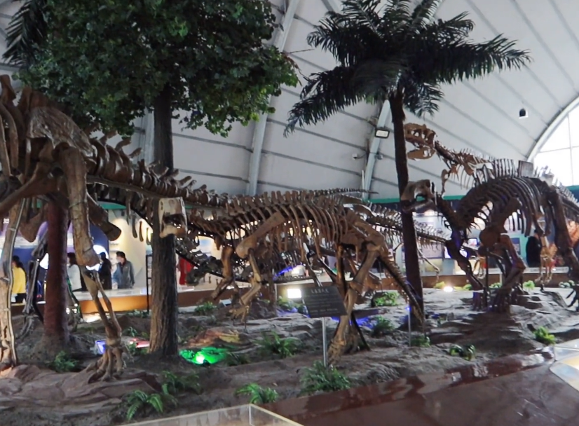 锦州中德古生物博物馆游玩攻略1